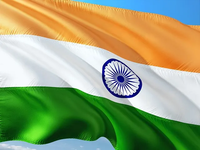    МПК «Атяшевский» обсудил международное сотрудничество с Индией