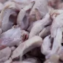 Мордовия наращивает экспорт курятины