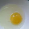 яйцо. в Саранске
